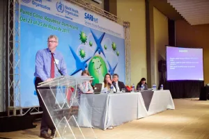 Creation (2014-2022)