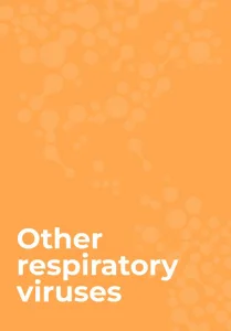 Seasonality of Respiratory Syncytial Virus in Latin America and the Caribbean