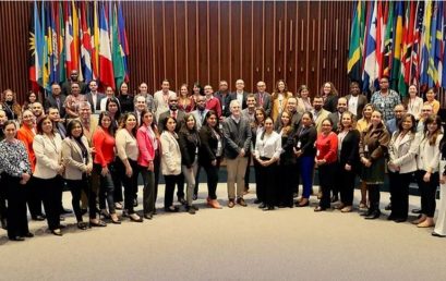 Reunión de Coordinación Regional del PIP destaca avances en Preparación contra futuras pandemias de Influenza en Las Américas