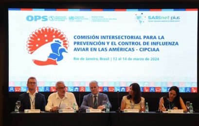 PAHO and countries of the Americas seek to establish an intersectoral commission to prevent and control avian influenza