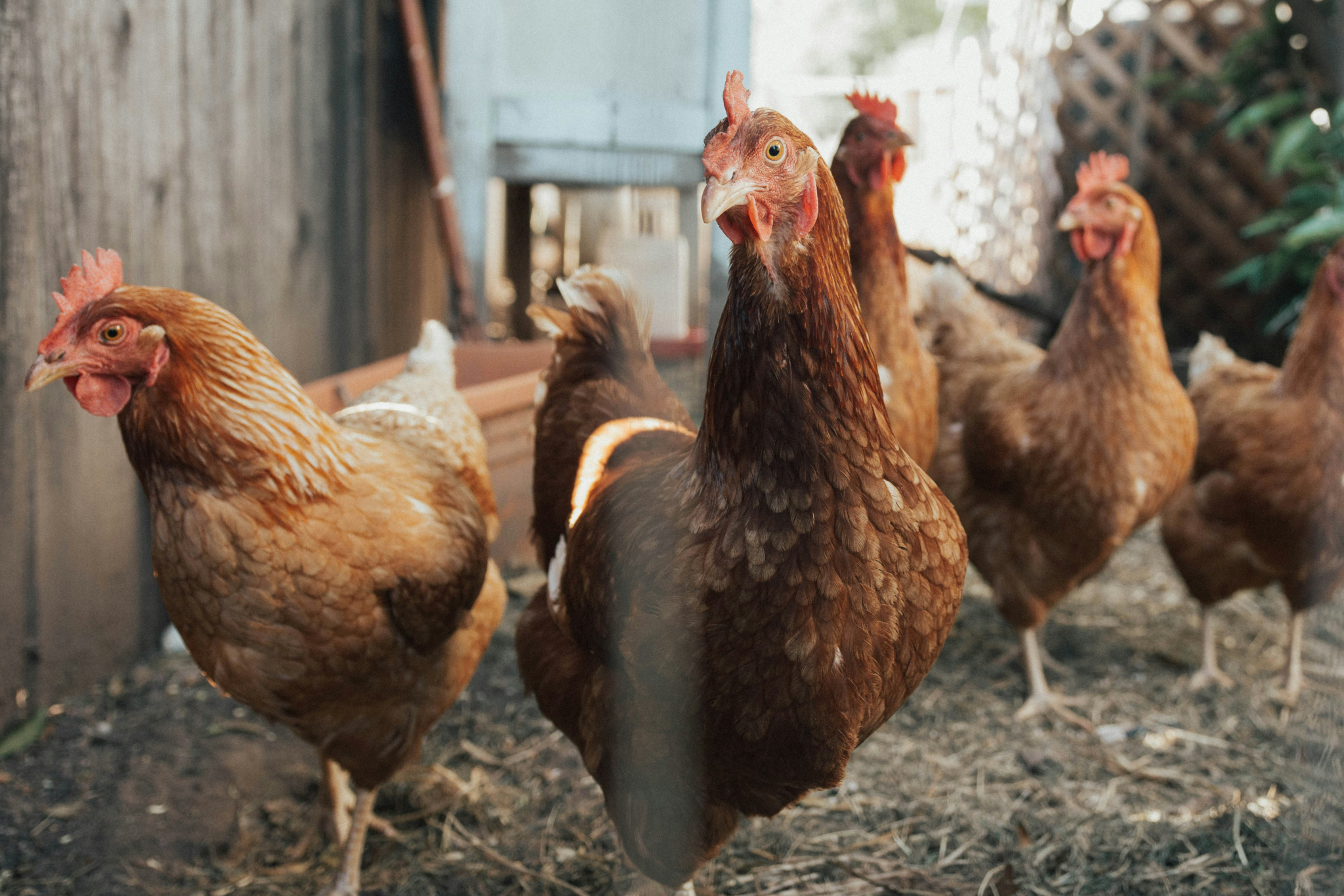 ben-moreland-8wWpDF4Av-Y-unsplash