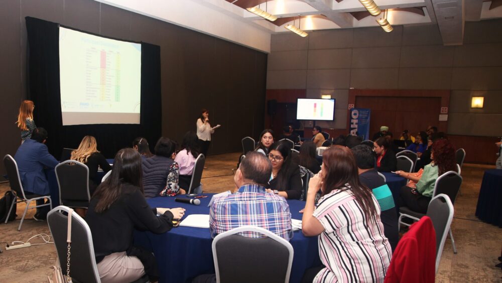 Development of a training curriculum to strengthen data competencies for respiratory virus surveillance in the Americas moves forward Development of a training curriculum to strengthen data competencies for respiratory virus surveillance in the Americas moves forward